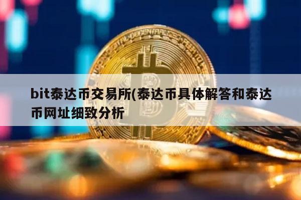 bit泰达币交易所(泰达币具体解答和泰达币网址细致分析
